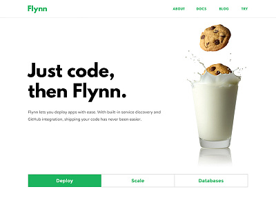 Flynn Dribbble