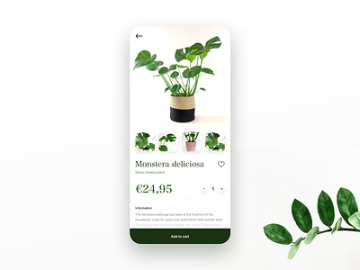 Daily UI - Webshop item 🌱