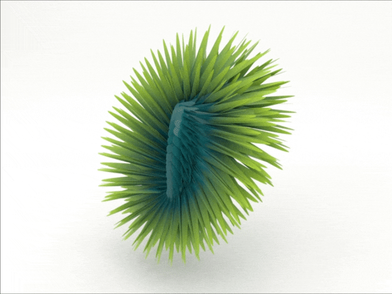 Hairy Plant Animation 3d blender experiment generated art green hairy plant