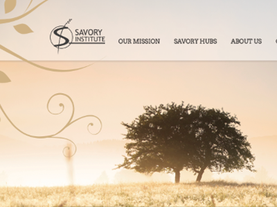 Savory Institute Website Preview
