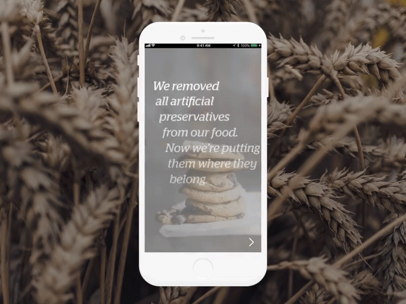 Preservatives with Purpose animation design mobile ui visual