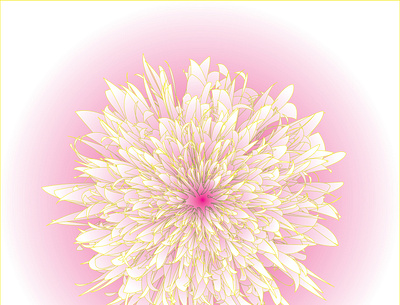 Art flower Design design graphic design vector