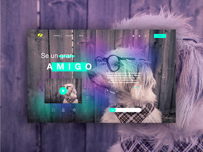 Pet hospital "Se un gran amigo" adopcion app dog dribbble friend interface landing pet responsive ui ux web