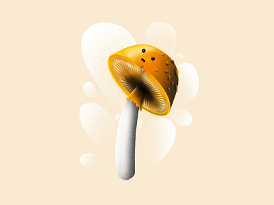 mushrooms amarillo design dribbble fungi fungus hello hongo illustration interface interfaz minimal mushrooms sketch ui yellow