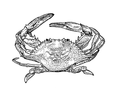 Crab bw crab drawing tattoo tattooidea