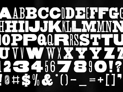 CALAMITY! - New Font Family by Andrew Hochradel on Dribbble