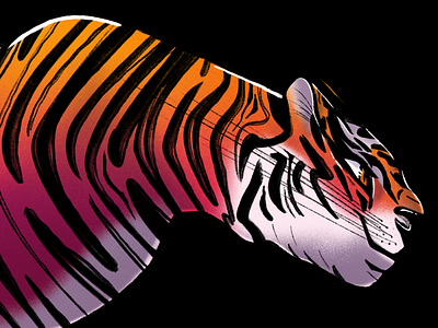 Tiger Illustration