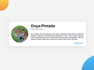 Animal Card animal card css design flexbox frontend html jaguar ui ux web