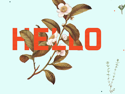 Greetings hello illustration teaser typography