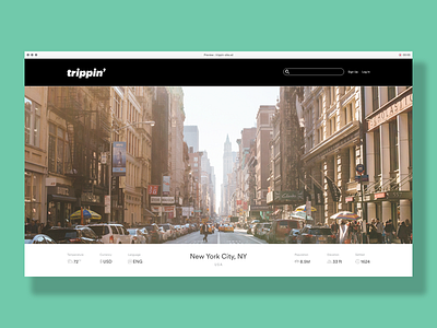 Trippin NYC interaction design uiux web design website