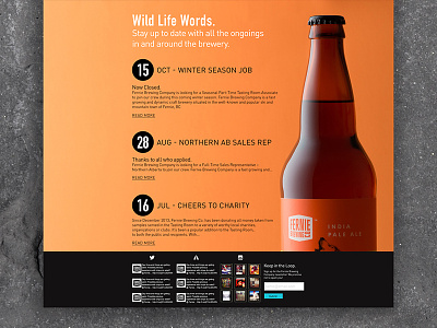 Fernie Brew Co. 3 beer canada homepage huge ui web design website