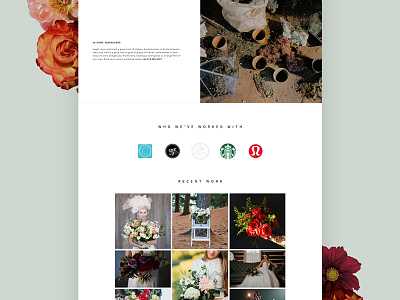 Pollen Nation homepage 2 canada flat design floral homepage ui web design website