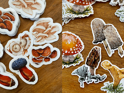 Mushroom Stickers digital illustration illustration stickers