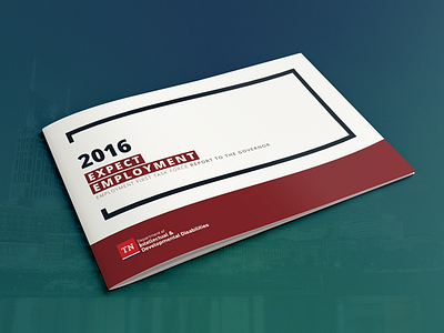 2016 Expect Employment Report annual branding document report