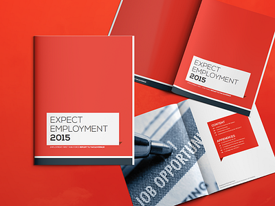 2015 Expect Employment Report annual branding document report