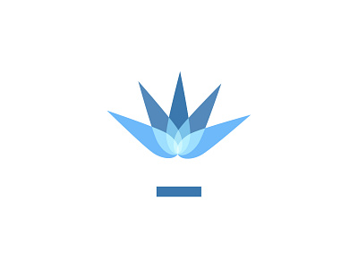 Mezcal - Logo exploration blue exploration gradient graphic logo logo design maguey mezcal