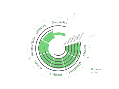 experience & skill infographic