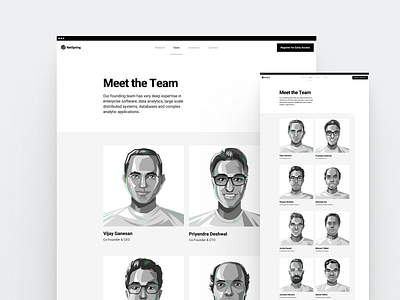 NetSpring Stealth Site · Team branding clean flat illustration minimal saas space web webdesign white