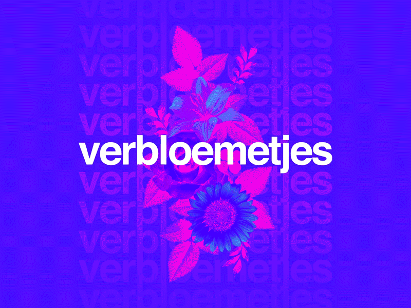 Verbloemetjes bloemen color flowers photoshop rainbow