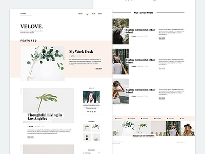 Velove blog palm web web design webdesign website wordpress