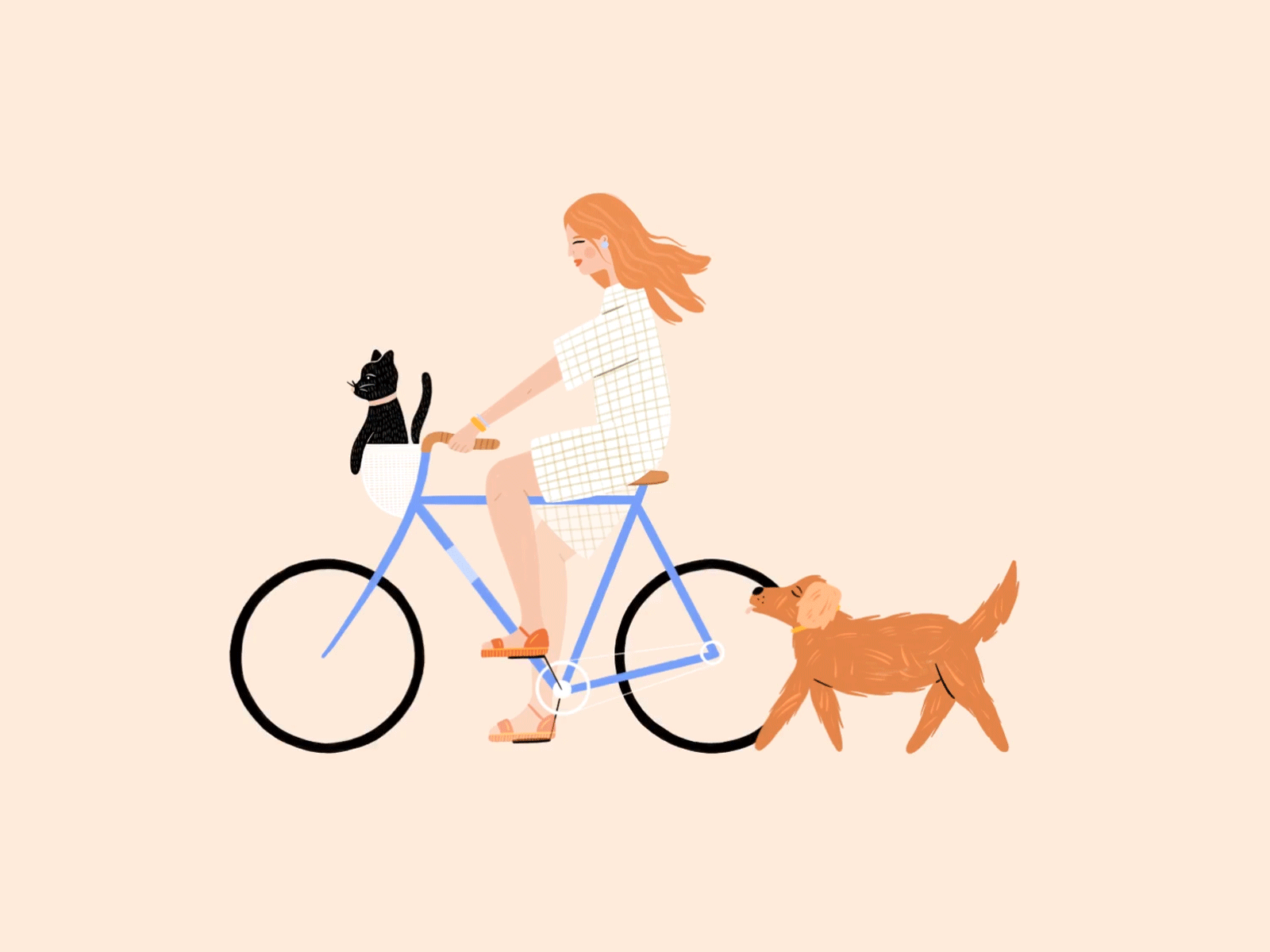 Biker Friends animation bike cat design dog gif graphic design hand drawn illustration illustrator lady people procreate woman