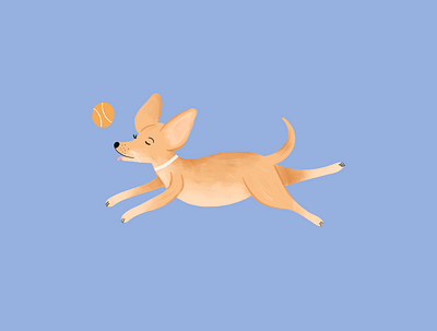 Pepper design dog doggo graphic design hand drawn illustration illustrator pet playful procreate run