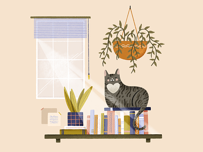 Charlotte cat cat lady design hand drawn illustration illustrator pet plant procreate shelf window