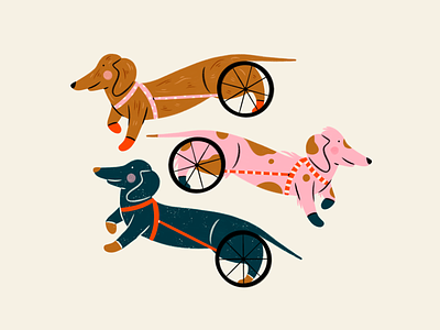 Sausage Wheelies dachshund design dog hand drawn illustration illustrator pastels pattern pet procreate wheelchair