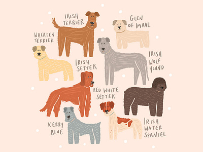 Irish Pup Breeds dog dog illustration illustration irish breed irish dog pet pet illustration pup puppies