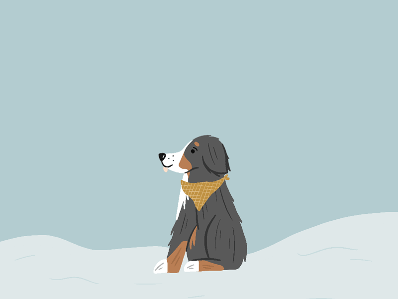 PNW Snow aniamted gif animation dog dog illustration fall hand drawn outdoors pet procreate snow weather winter