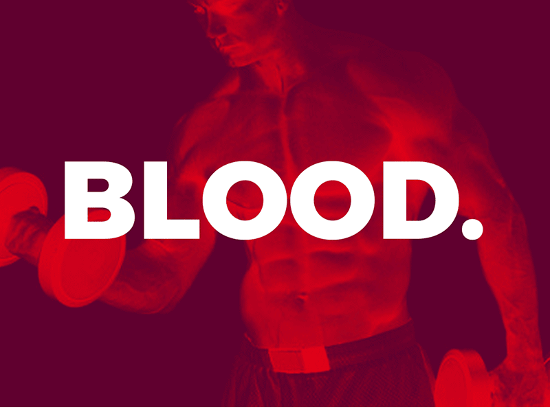 Blood. Sweat. Tears. colour india bangalore gif exploration fitness website experience interaction uiux
