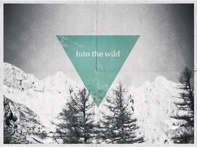 Into The Wild bw design nature