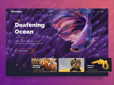 Discovery TV Platform by Benito Design on Dribbble