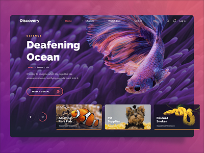 Discovery TV Platform animals design discovery film fish interface online platform red serial tv ui uiux violet web