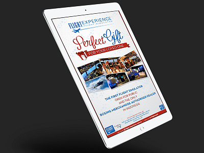 Flight Experience | Banner Design ads banner banner design design digital graphic