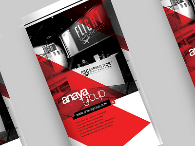 Anaya Group | Brochure Design brochure design flyer graphic modern print