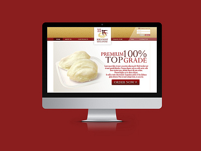 Bird Nest Singapore | Web Design design digital interface mockup online ui web web design website