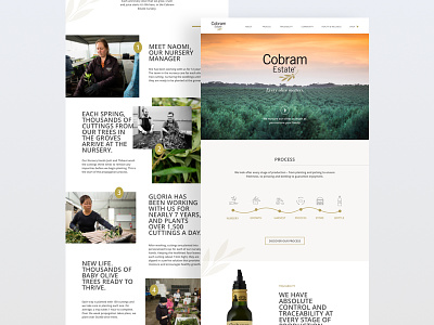Product Website - Premium Olive Oil clean concept design food homepage minimal product simple ui ux web webdesign