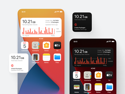 Data Usage Widgets for a Mobile Carrier app carrier cellular esim home screen ios iphone mobile data product design roaming widget widgets