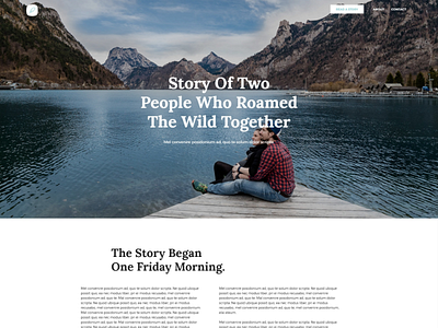 writer clean css html landing page modern responsive story storytelling ui ux website writer