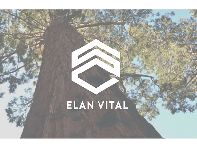 Elanvital Identity brand graphic design growth identity logo