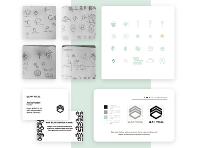 Brand design project for a boutique consultancy brand branding design freelance designer graphic design growth identity logo
