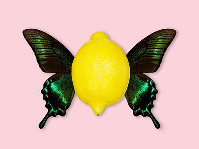 CITRONFJÄRIL butterfly illustration lemon popart vector