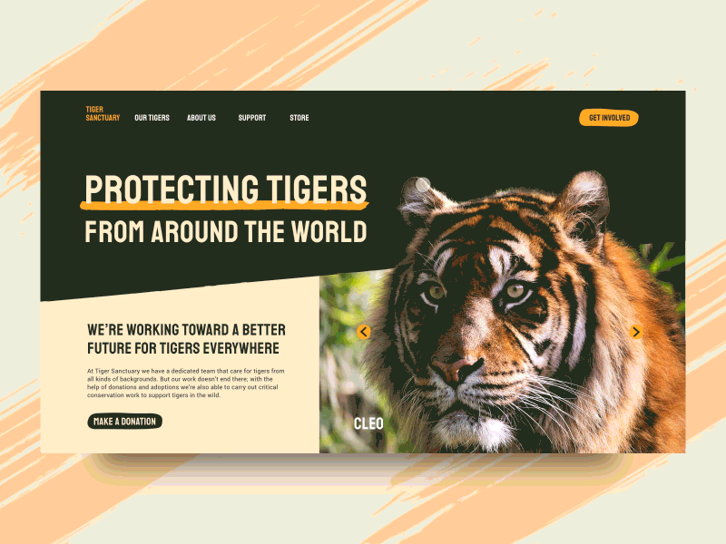 Tiger Sanctuary branding concept design tigers ui ux ui design web design website concept website design