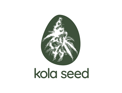 Kola Seed