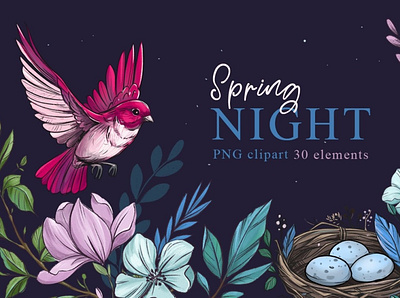 Spring night clipart art bird birds bundle clip art clipart compositions design floral flowers graphic graphic design graphic elements hand drawn illustration leaves night pencil spring vector