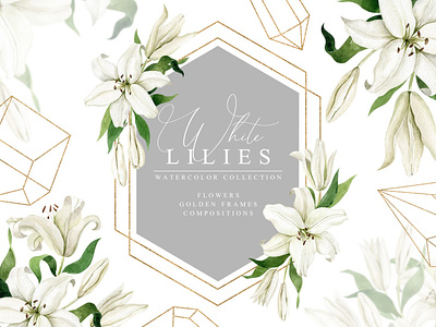 White Lilies Watercolor Collection art background clipart collection design floral flowers graphic graphic design graphics illustrat illustration illustrations texture vector watercolor watercolor art watercolor illustration watercolor painting watercolors