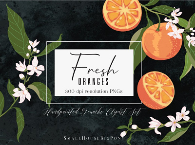 Fresh Oranges Clip art Set art background clip art clipart clipart set cliparts design floral flowers fresh fresh colors fresh design graphic graphic design graphics graphics collection graphics design illustration orange vector