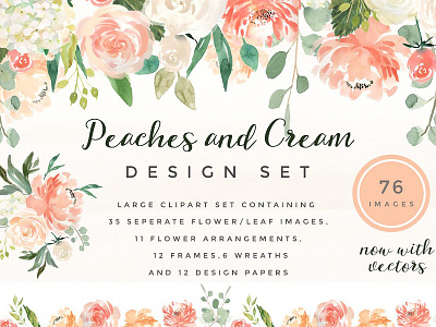 Peaches and Cream Flower Graphic Set clipart floral graphics flower clipart flower pattern graphic graphic design graphic set rose clipart watercolor clipart wattercolor flower wedding clipart wedding graphics