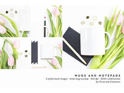 40%OFF Styled Stock Photo Pack #PT02 mug mock up mug mockup photography styled mug mockup styled stock images styled stock photo website background white mug mock up